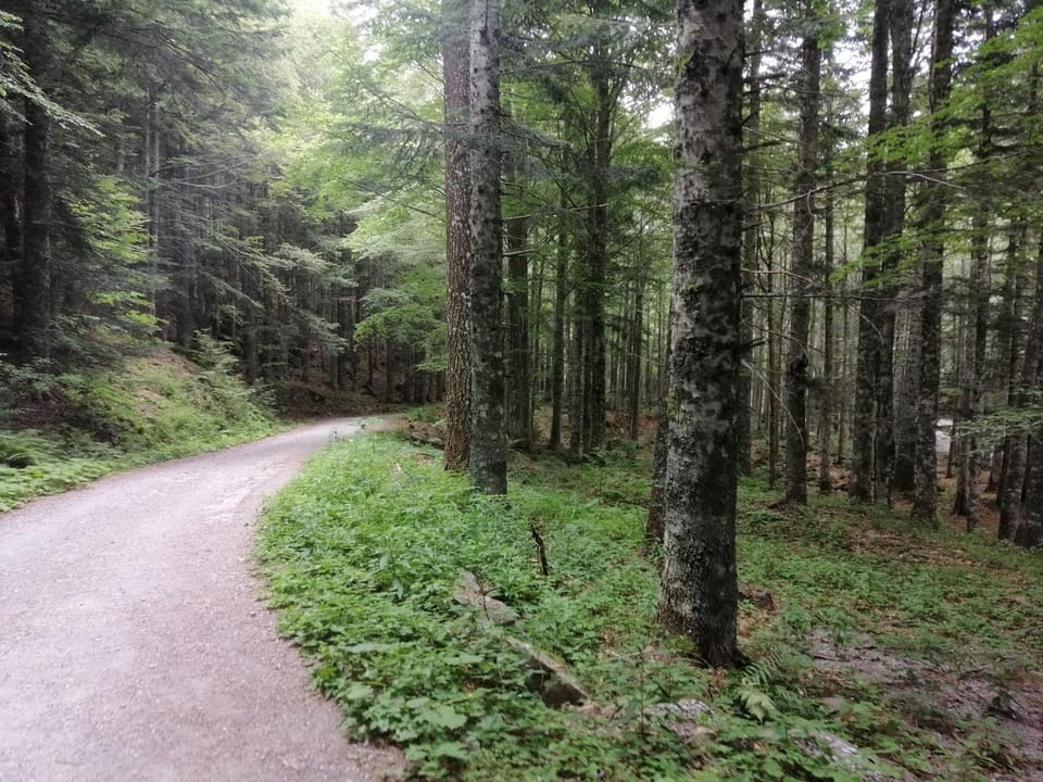 Hiking