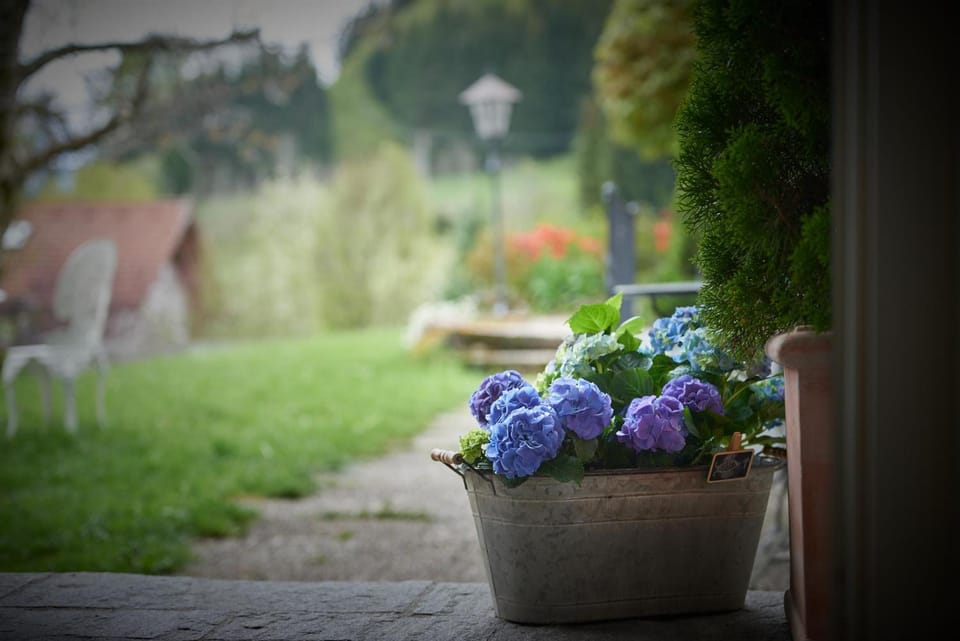Patio, Garden, Garden view
