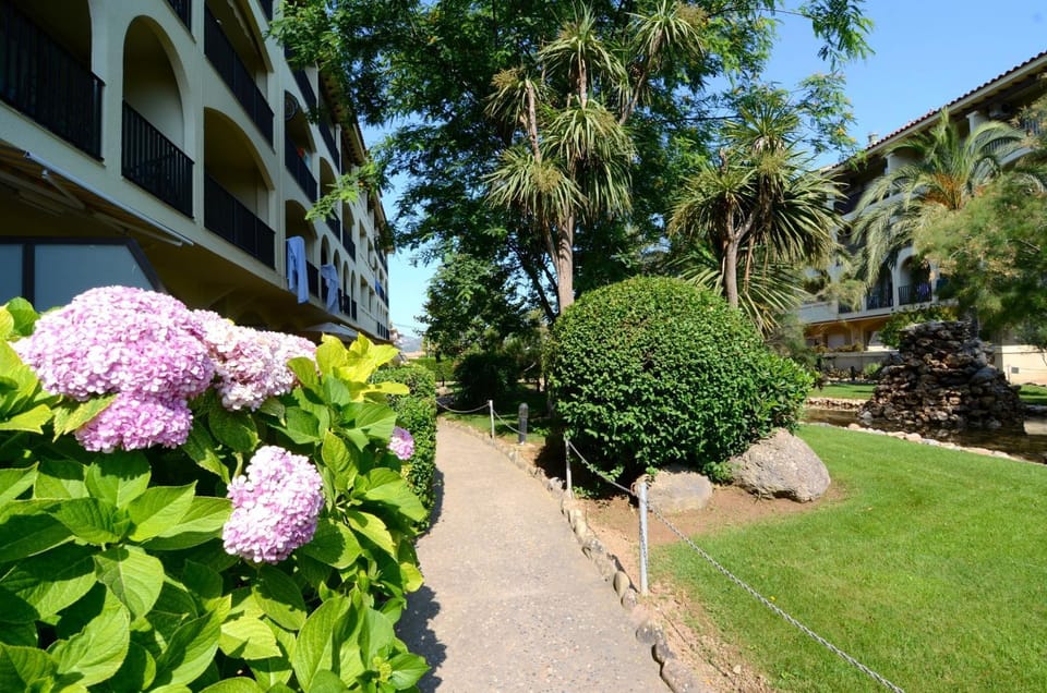 Patio, Garden, Garden view