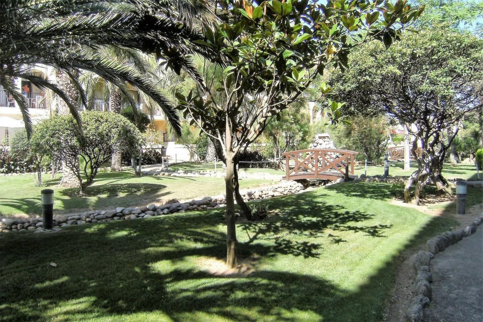 Patio, Garden, Garden view