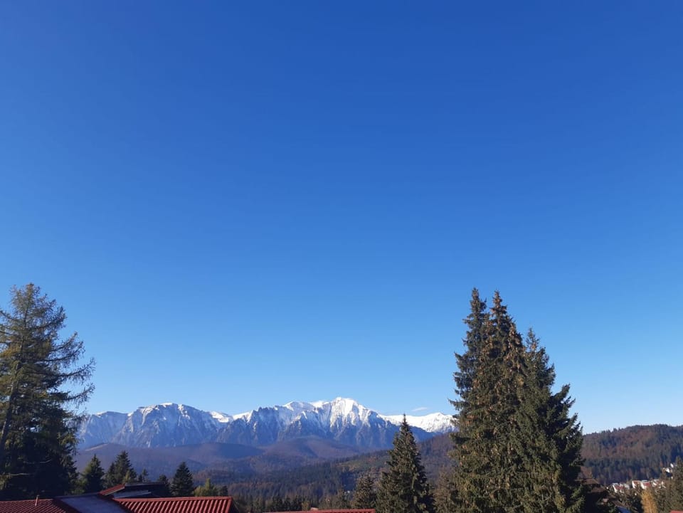 Pensiunea Margaritar Bed and Breakfast in Prahova, Romania