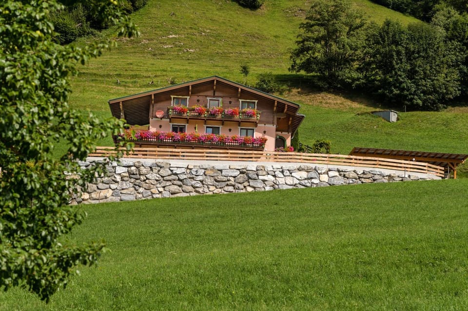 Property building, Summer, Garden, On site