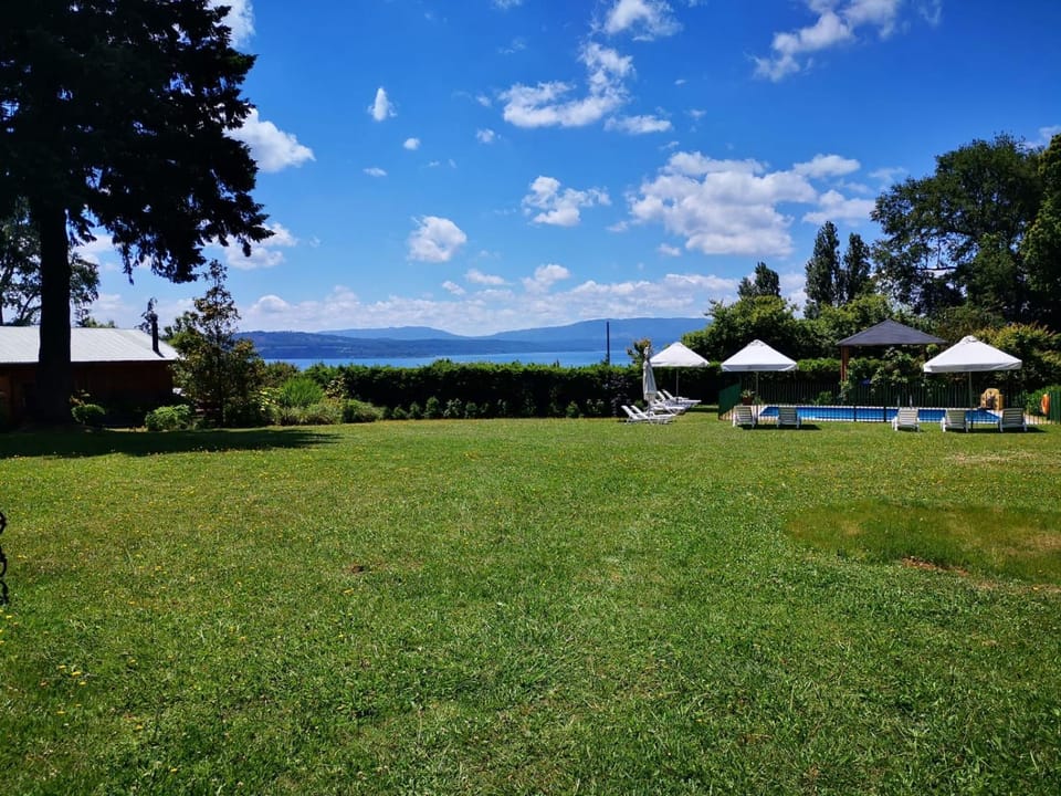 Day, Natural landscape, Garden, Garden view, Lake view, Pool view, Swimming pool