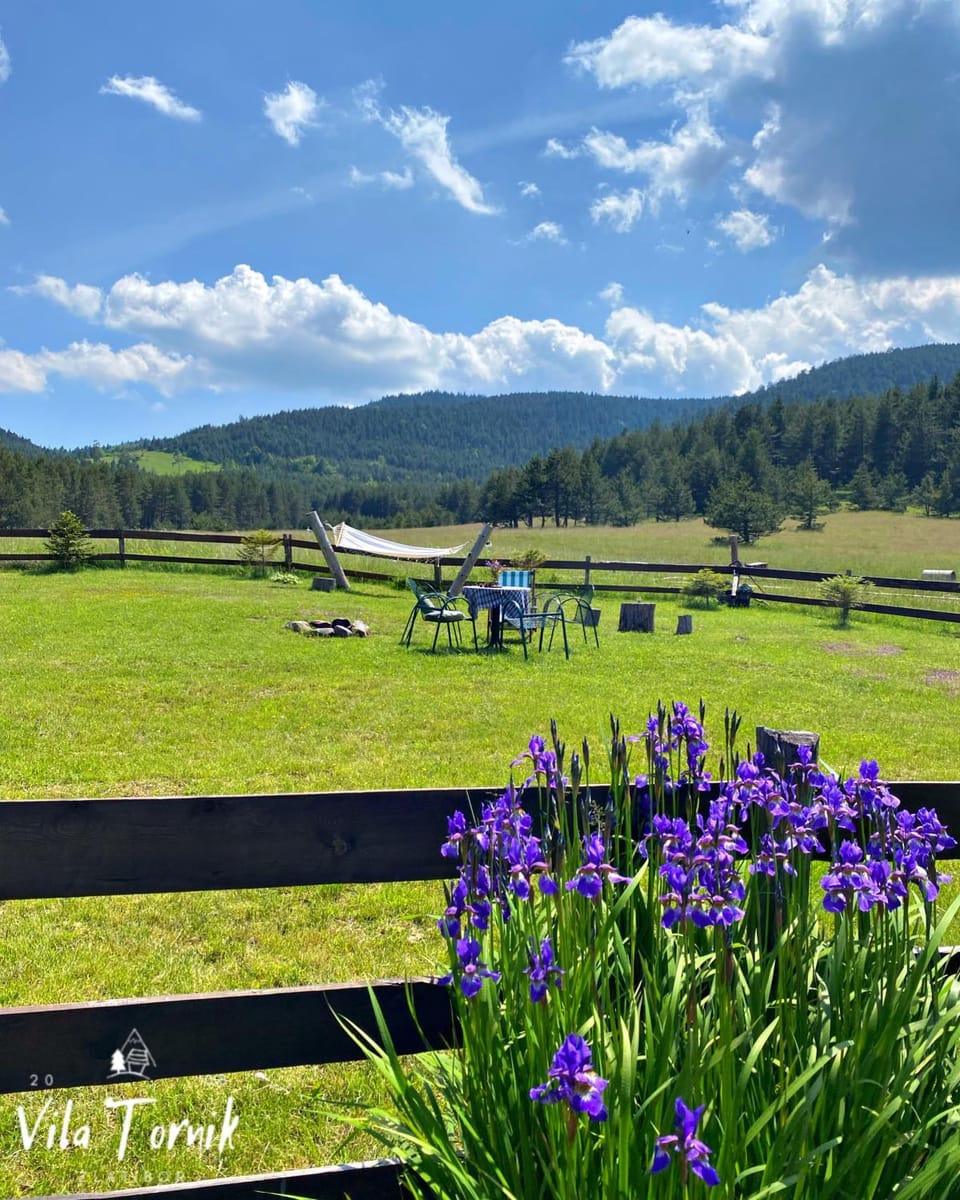 Vila Tornik Country House in Zlatibor