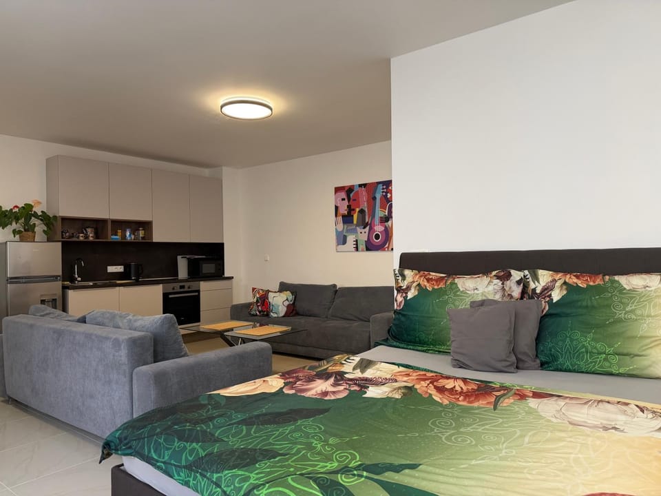 Bed, Kitchen or kitchenette, Living room, Seating area, Bedroom