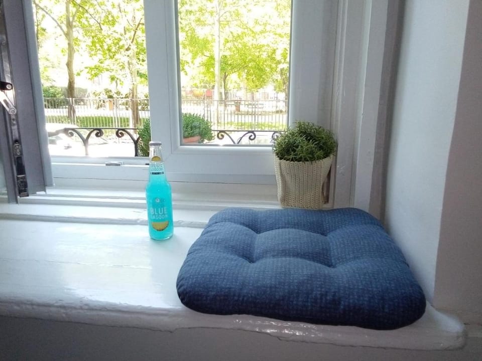 Sunny city apartment facing the park Apartment in Budapest
