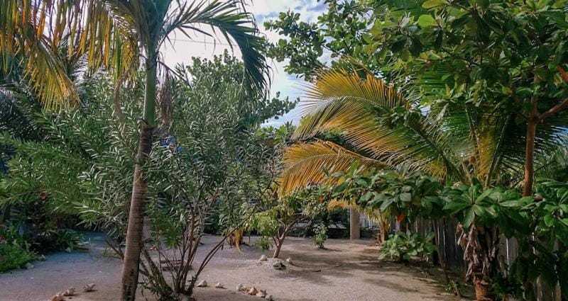 The Tranquila Caye- Gold Standard Certified House in Belize District