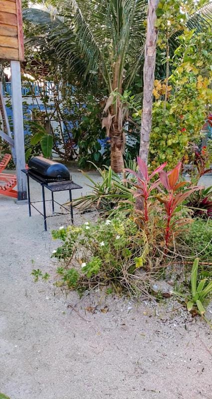 The Tranquila Caye- Gold Standard Certified House in Belize District