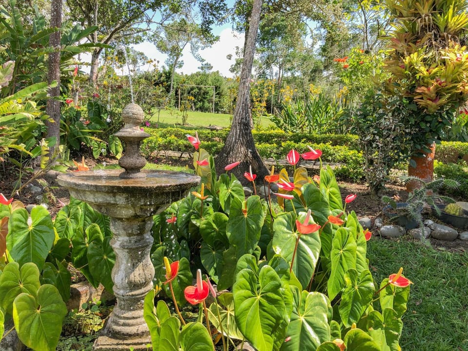 Garden