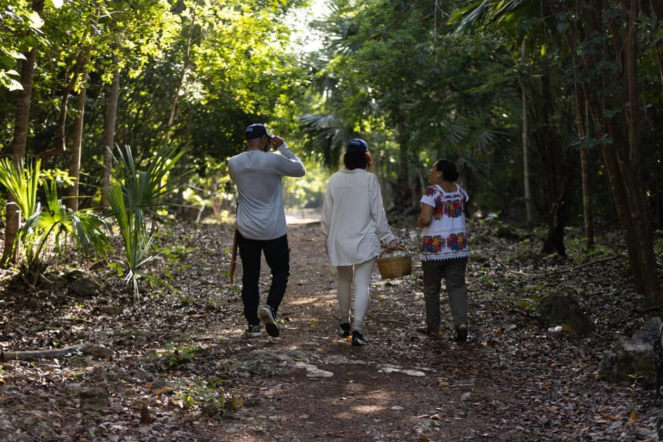 Hiking