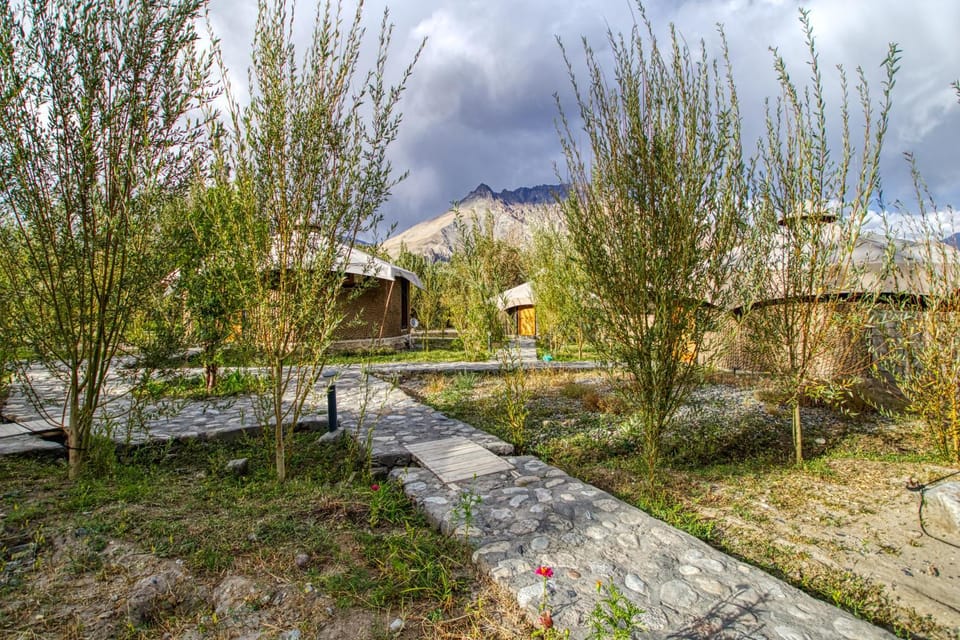 Day, Natural landscape, Garden view