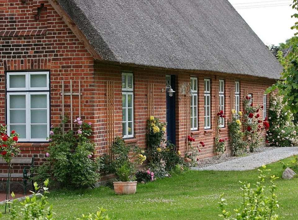 Property building, Facade/entrance, Garden