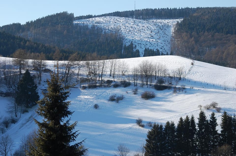 Natural landscape, Winter