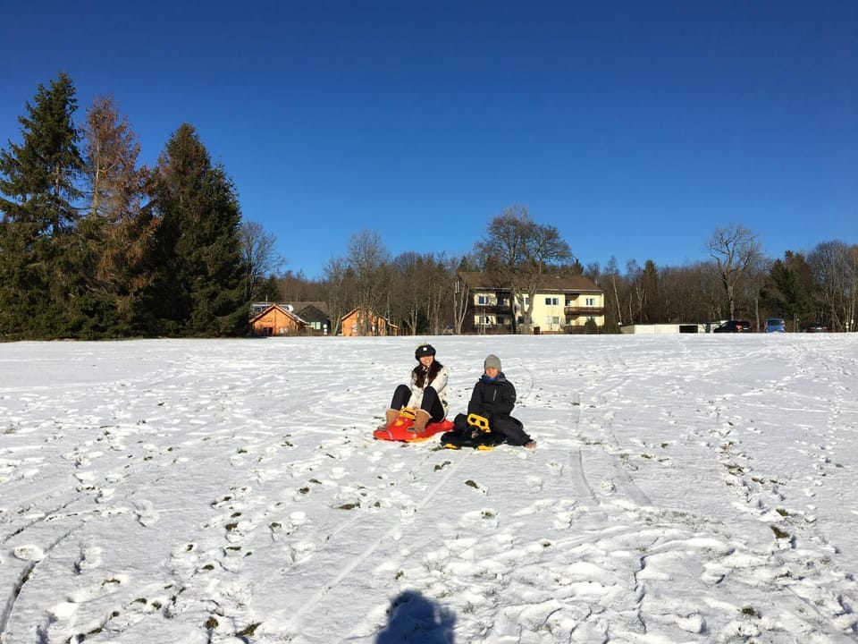 Ferienwohnung Harzblick 1 Apartment in Braunlage