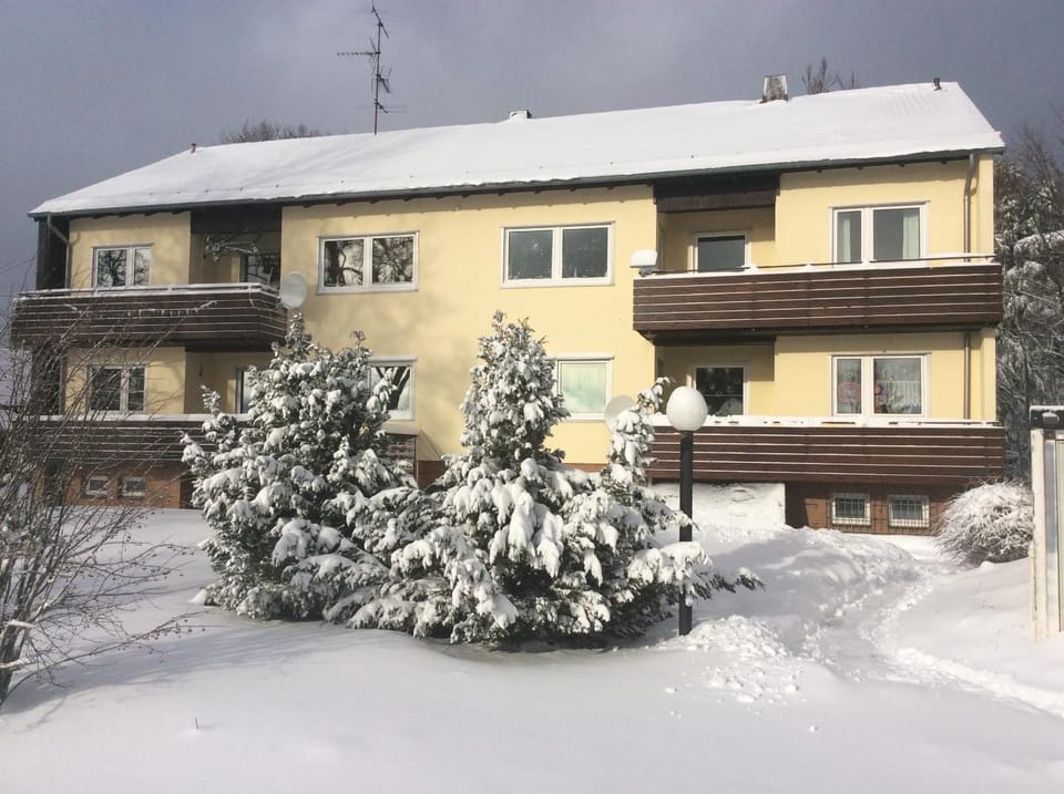 Ferienwohnung Harzblick 1 Apartment in Braunlage