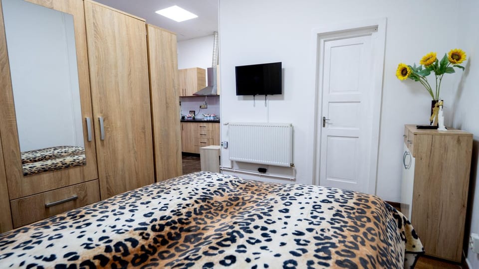studio Emilia Apartment in Romania