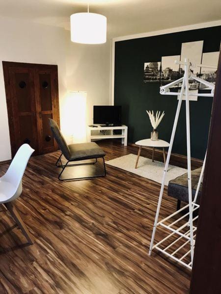 Ferienwohnung Willi I Apartment in Saxony