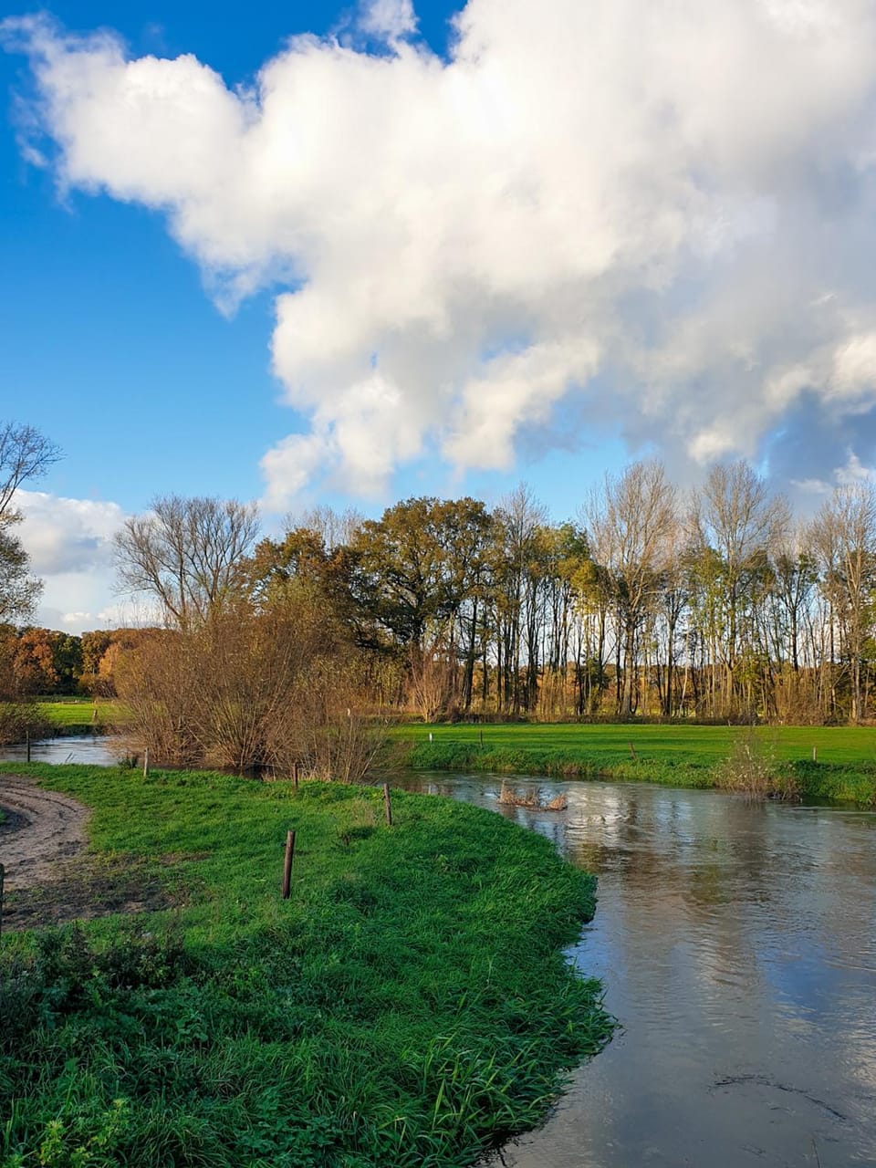 Natural landscape, River view
