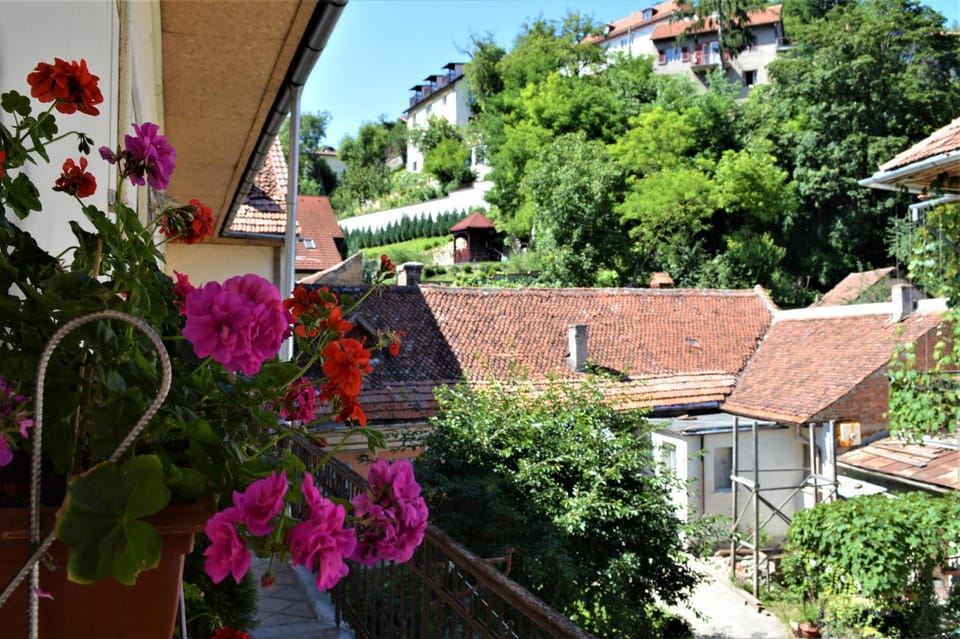Eco Studio Apartment in Brasov