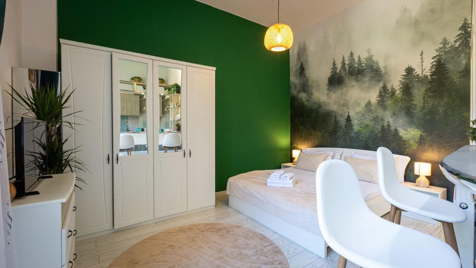 Eco Studio Apartment in Brasov