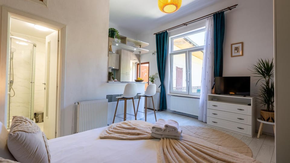 Eco Studio Apartment in Brasov