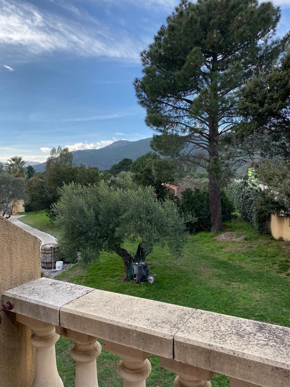 Garden view