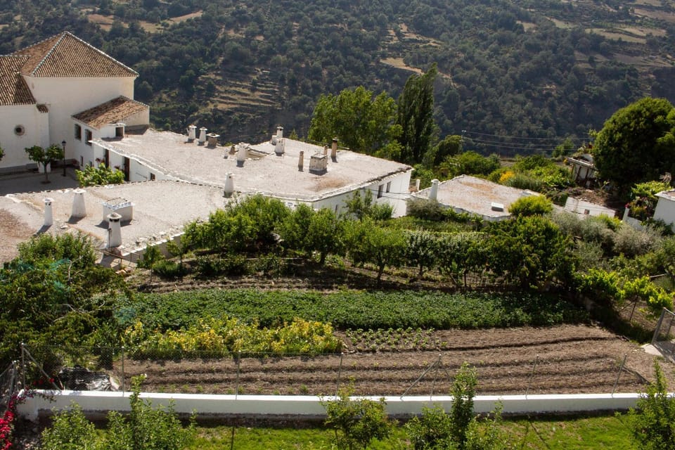 Spring, Neighbourhood, Garden view, Landmark view, Mountain view, Location, Sunset
