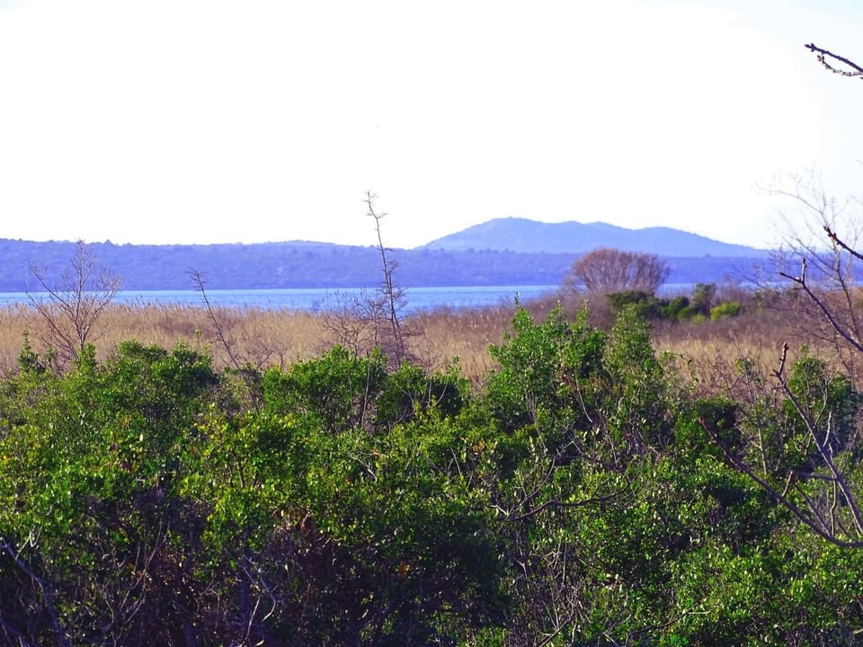 Lake view