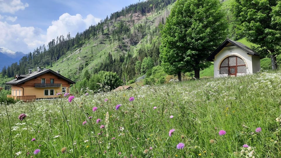 Spring, Natural landscape, Summer, View (from property/room), Garden view, Landmark view, Landmark view, Mountain view, Mountain view