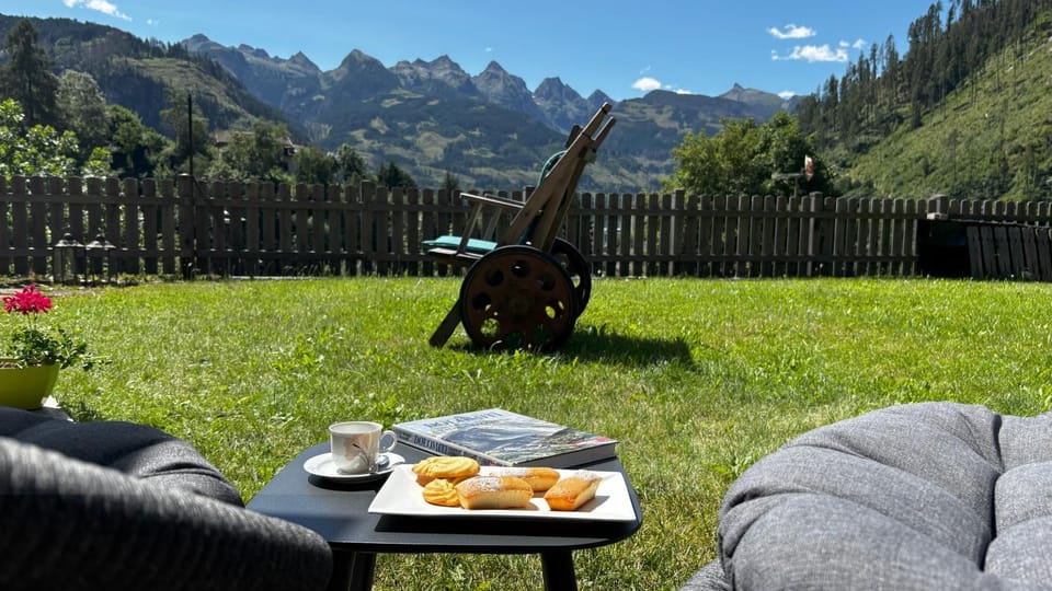 Summer, Garden, Garden view, Mountain view, Inner courtyard view