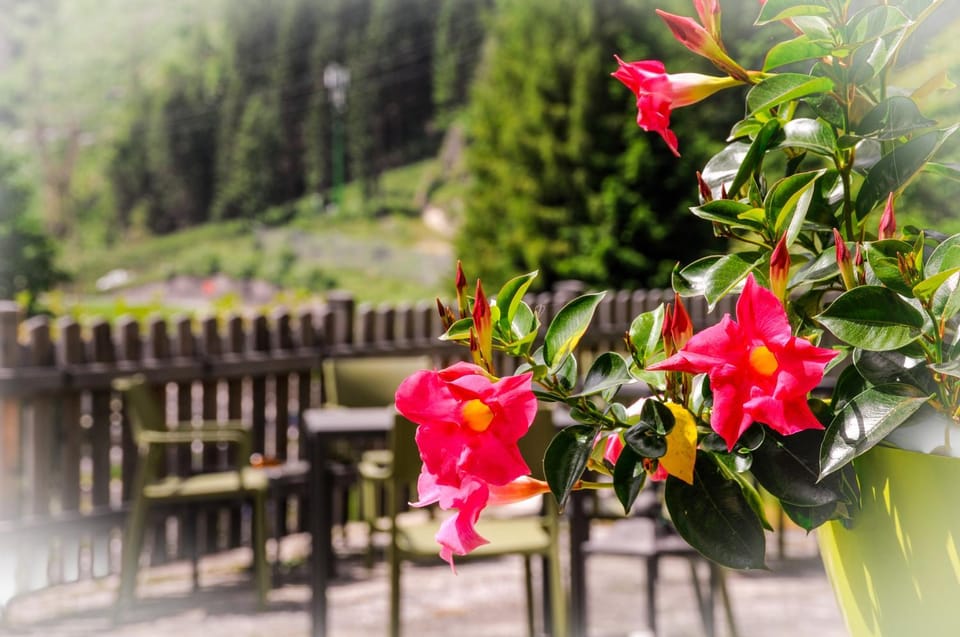 Patio, Spring, Natural landscape, Summer, Garden, Solarium, Balcony/Terrace, Decorative detail, Hiking, Garden view