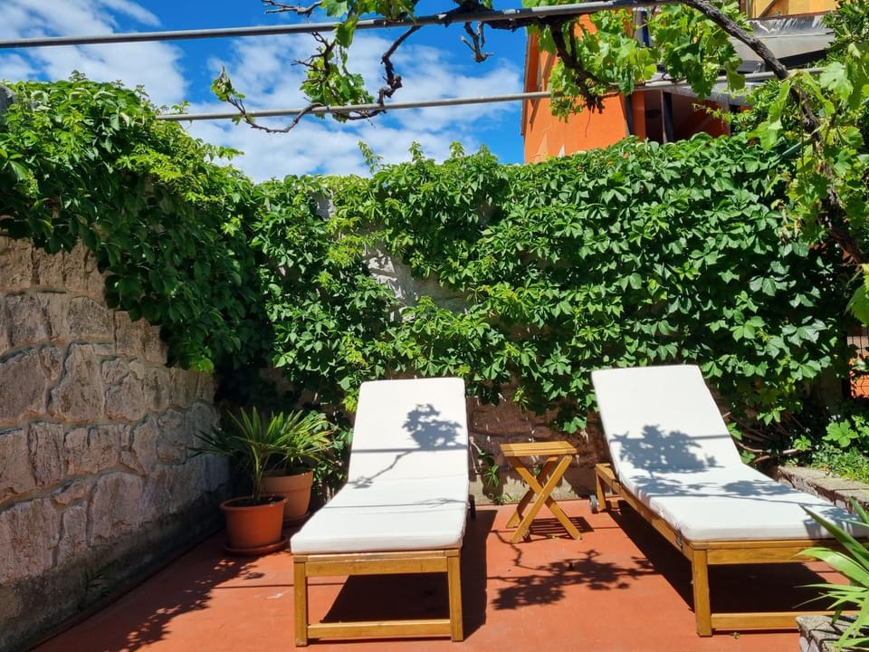 Spring, Garden, Garden view, sunbed