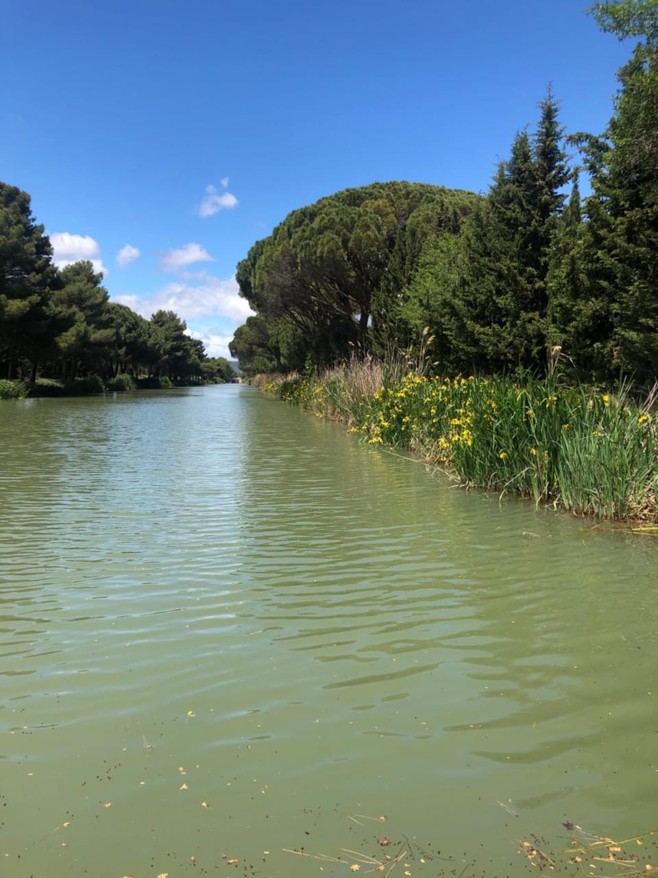Natural landscape