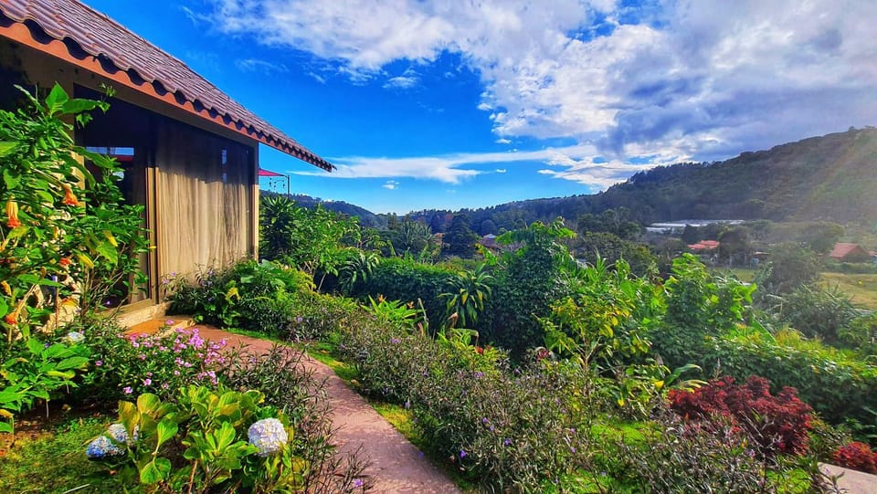 Natural landscape, Garden, View (from property/room), Mountain view