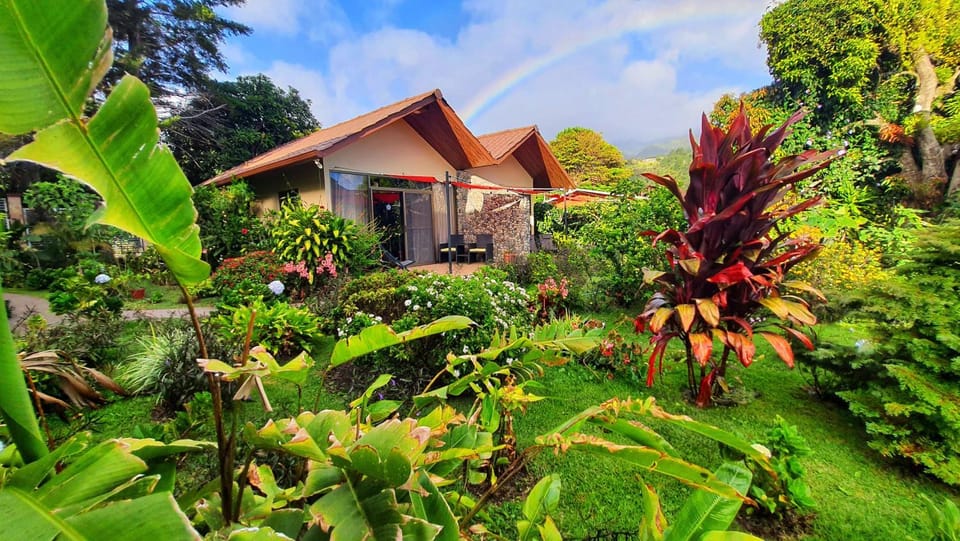 Garden, Garden view