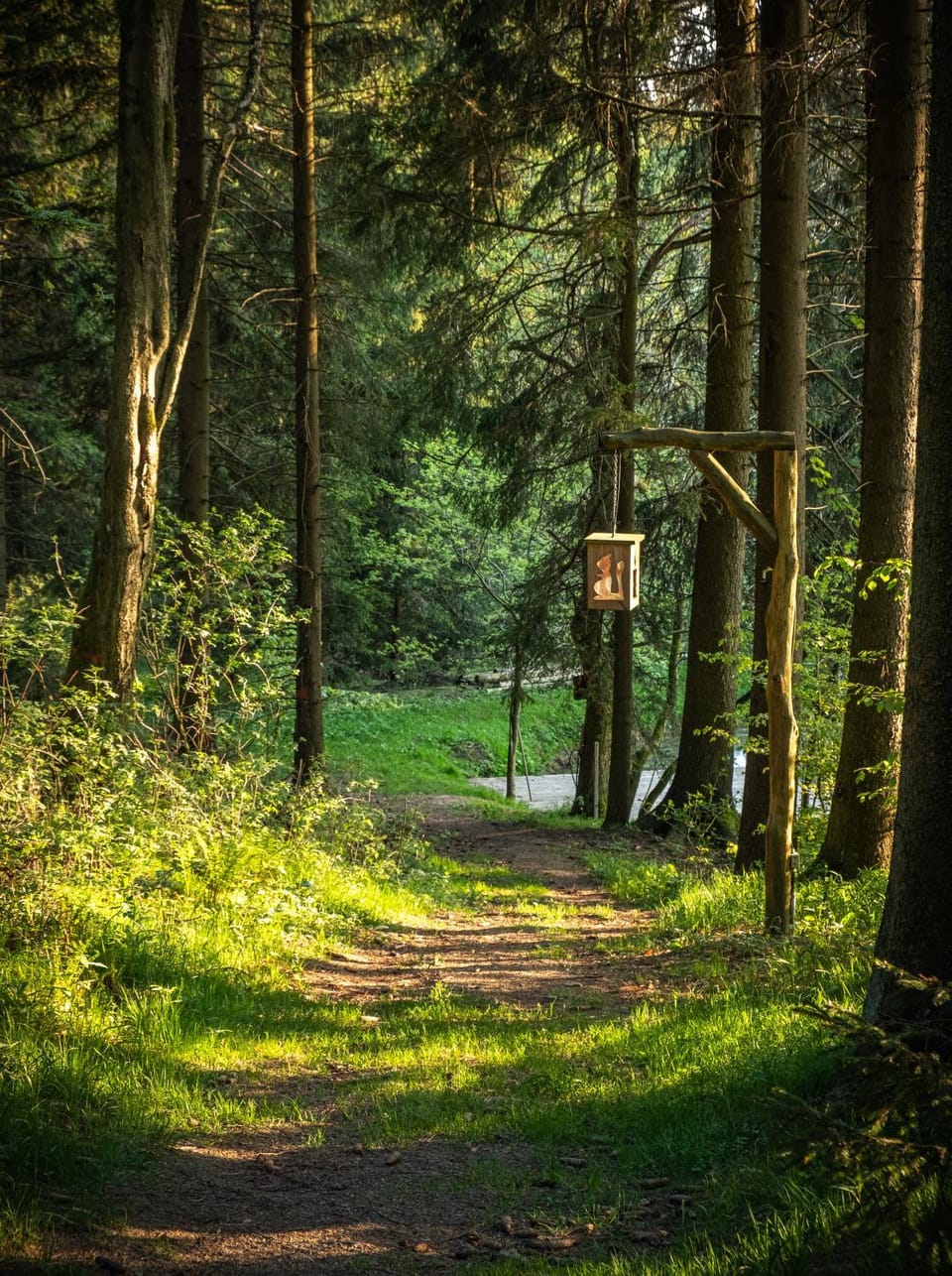 Natural landscape