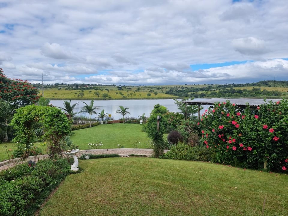 Natural landscape, Garden, Garden view, Lake view