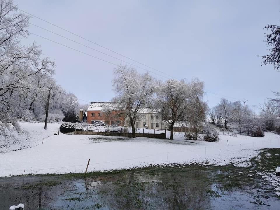 Natural landscape, Winter