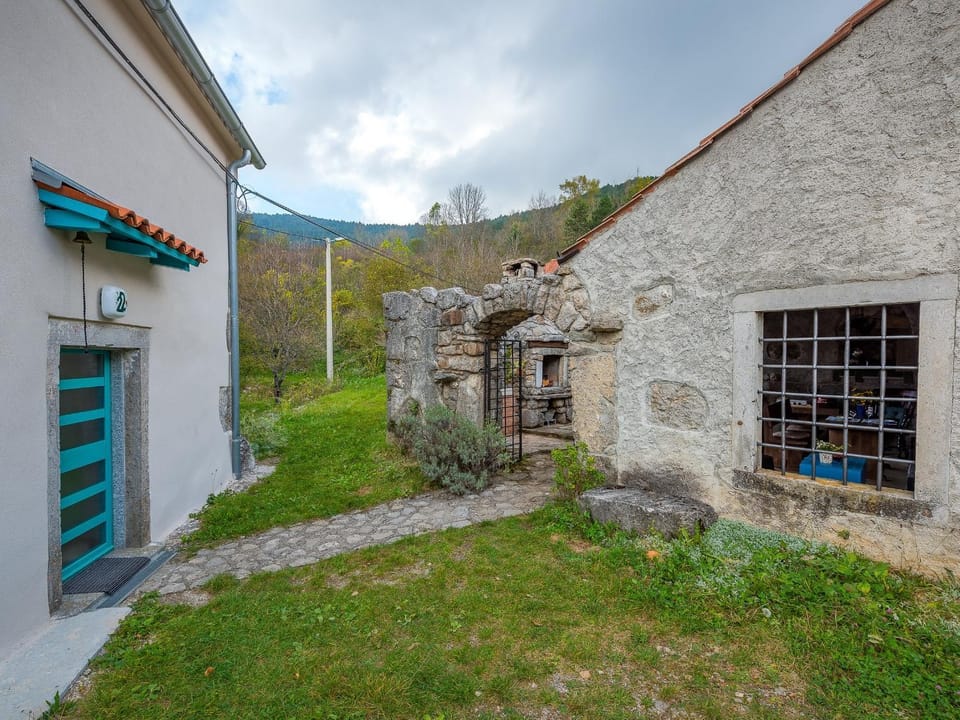 Patio, Garden, Garden view
