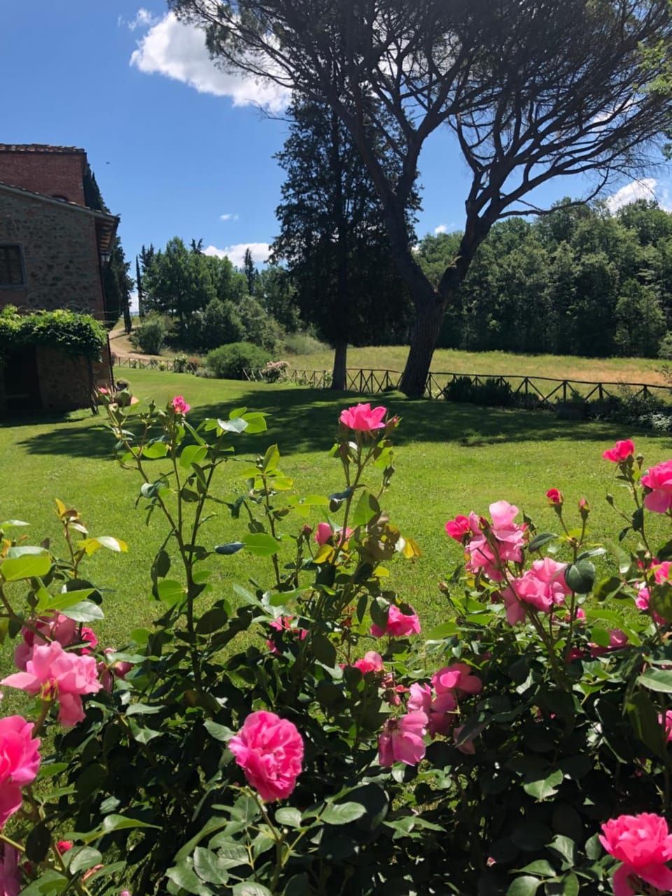 Spring, Garden, Garden view