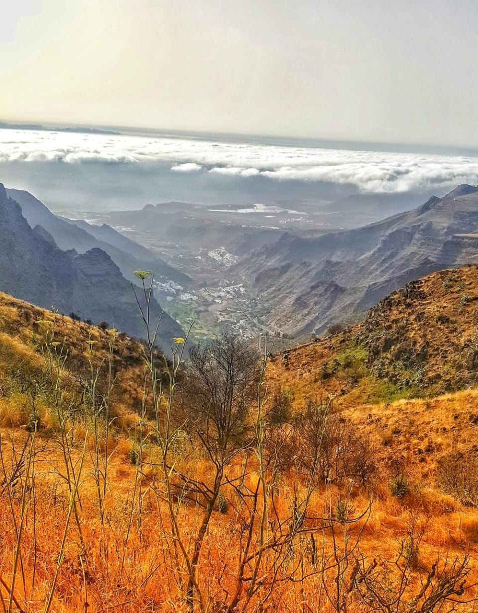 Natural landscape