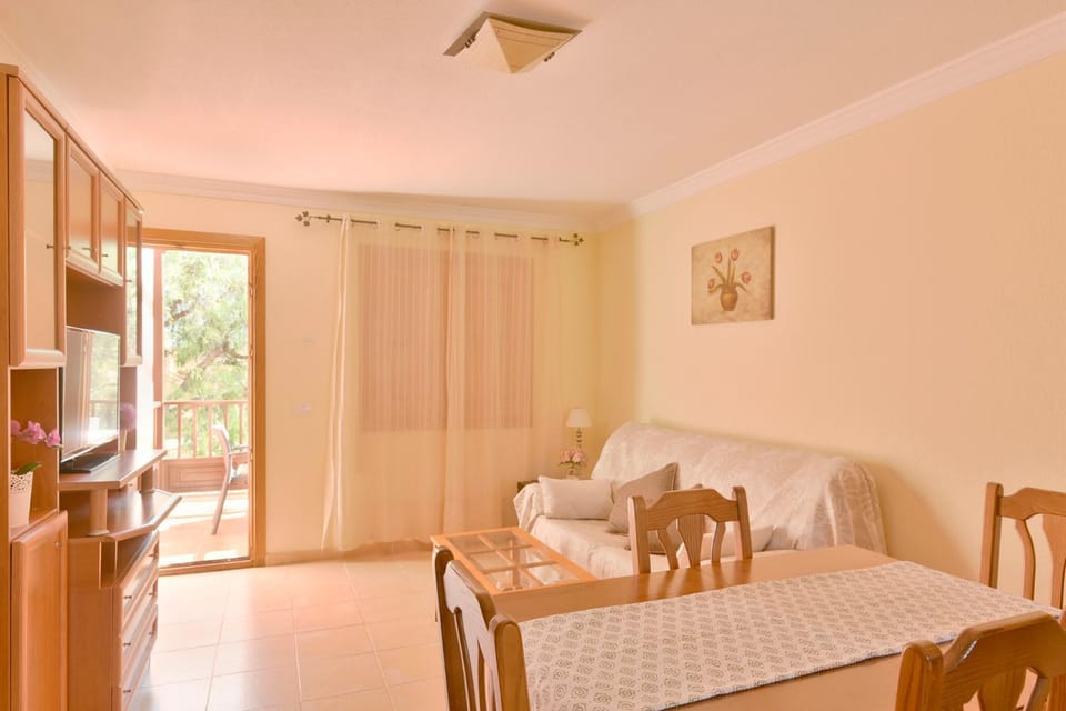 Vivienda Vacacional Radi Apartment in La Palma