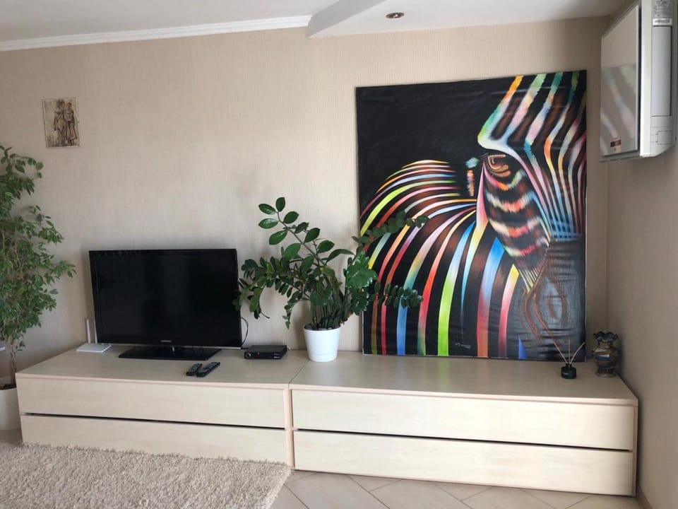 Cozy and comfortable apartment Apartment in Ukraine
