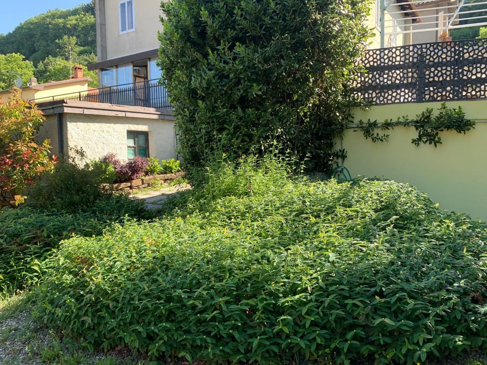 Casa Ortensia House in Tuscany