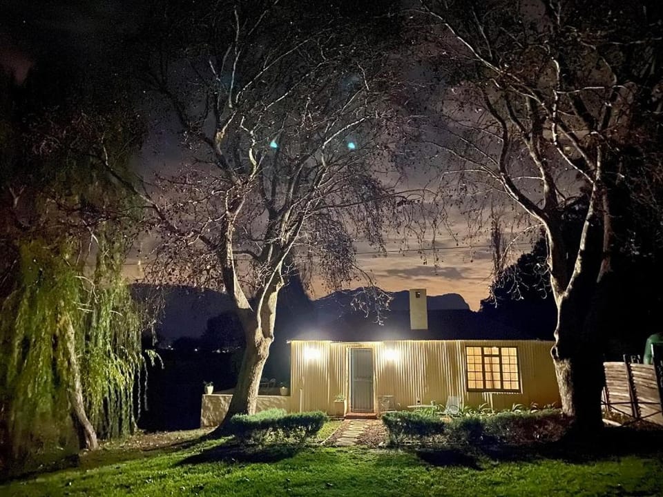 Property building, Night, Garden, Garden view