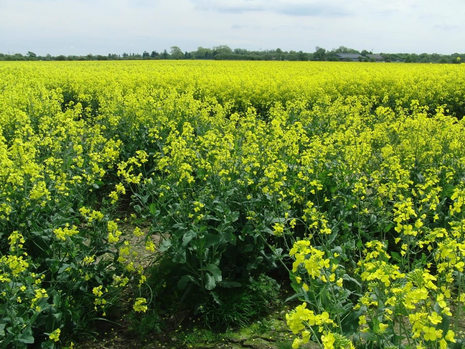Natural landscape, Hiking