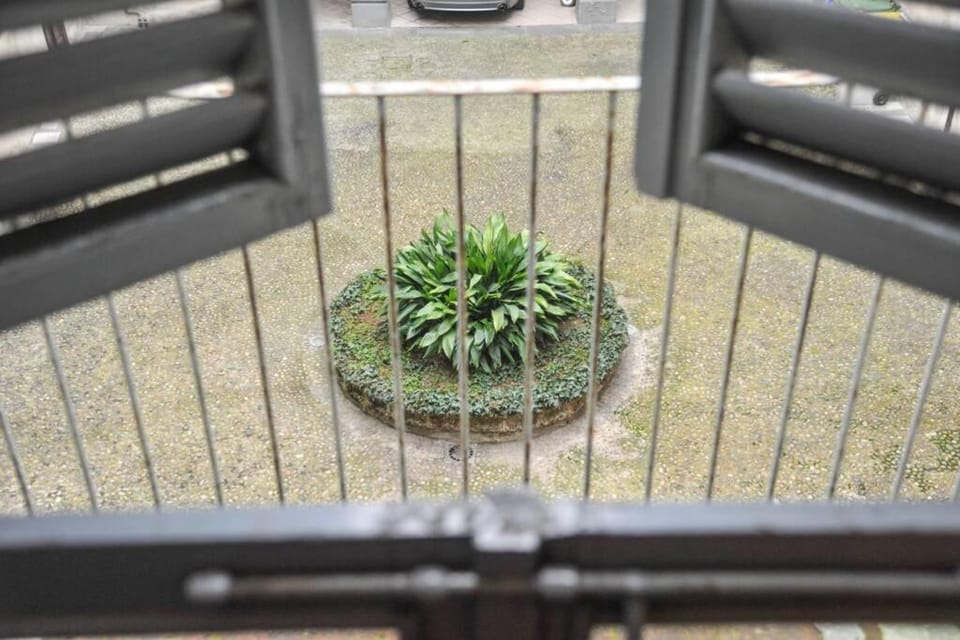 Cozy apartment in Palazzo Malaspina Apartment in Piacenza