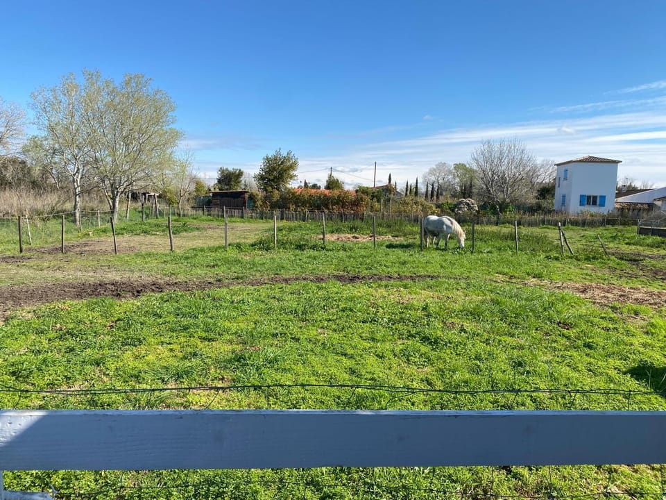 LES MAISONS DU PATY House in Saintes-Maries-de-la-Mer