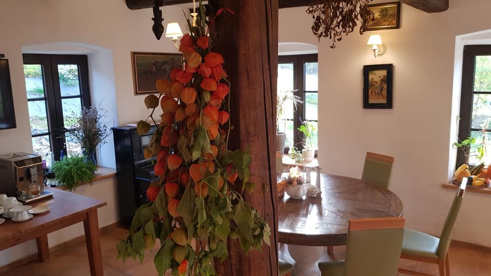 Pokoje Gościnne Art- Dworek Bed and Breakfast in Lower Silesian Voivodeship