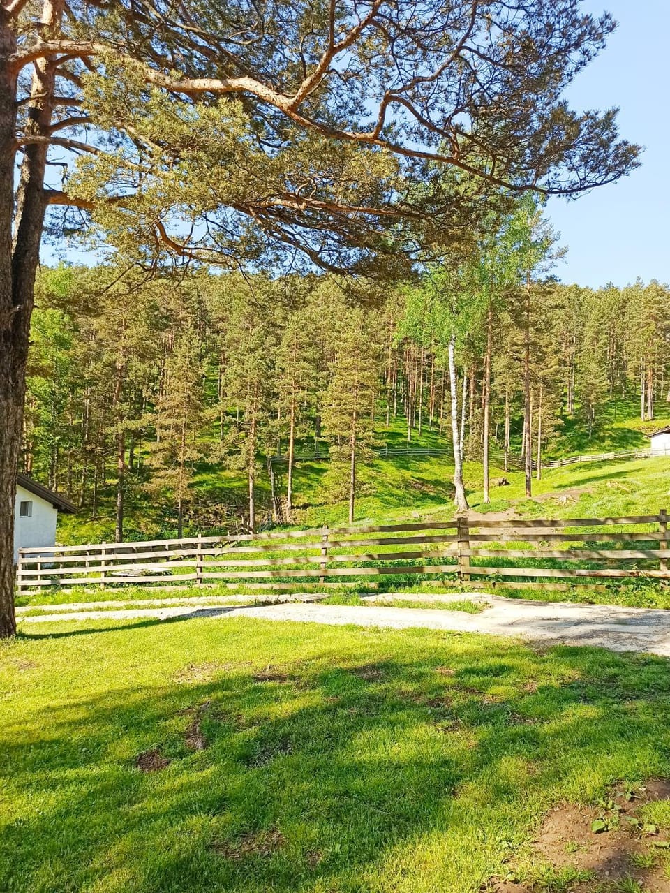 View (from property/room)